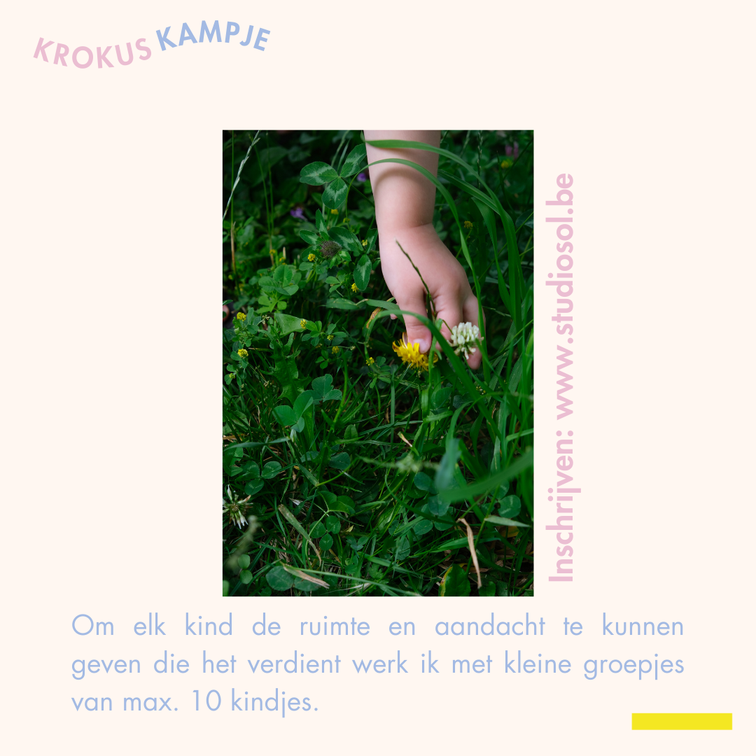 krokuskampje 3 - 4 maart *volzet* - Afbeelding 3